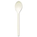 Goldengifts Eco-Products; Inc  Renewable PSM Cutlery; Teaspoon; Cream; 50-Pack GO39309